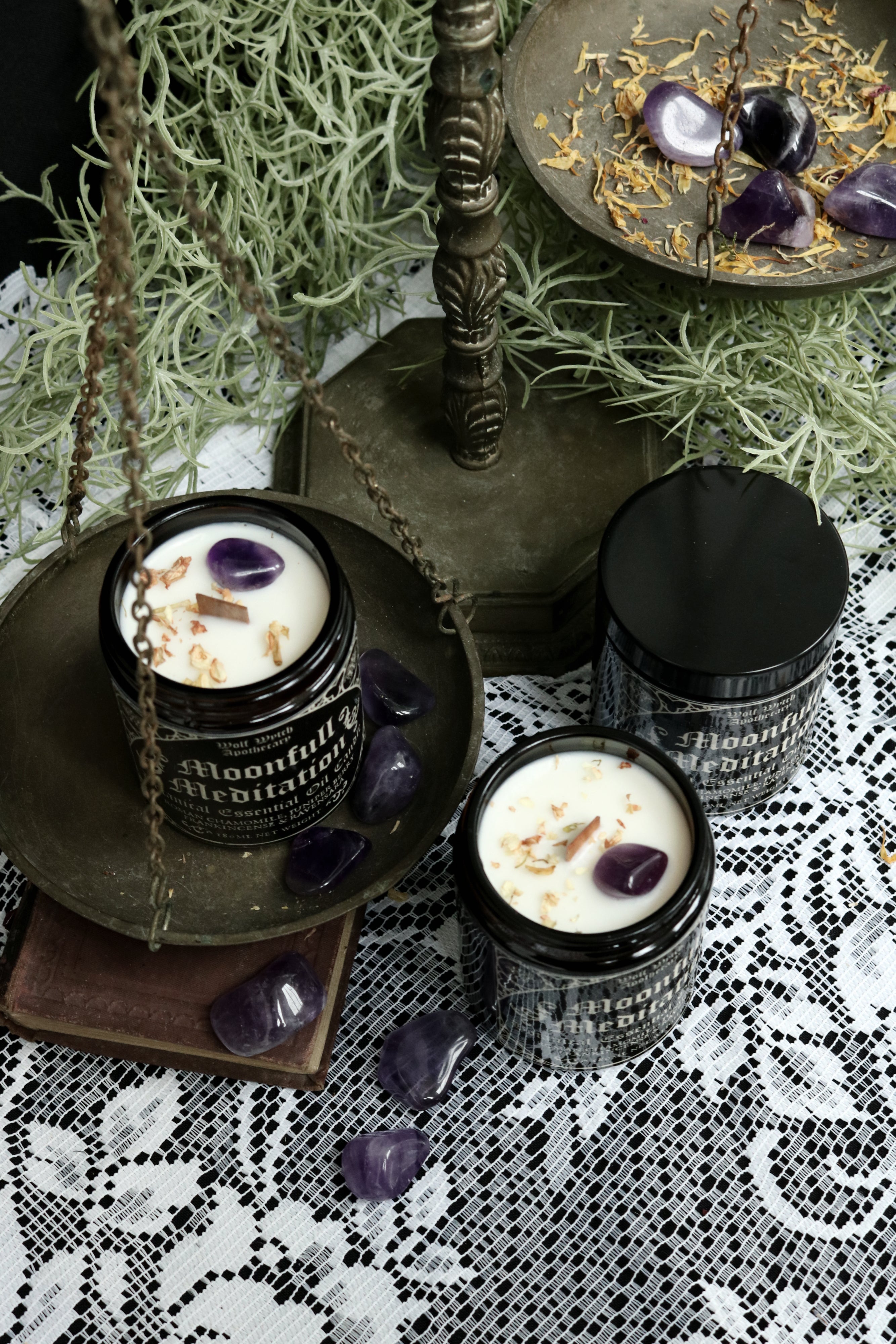 Moonfull Meditation Botanical Candle | Chamomile, Juniper Berry, Frankincense, Ravensara