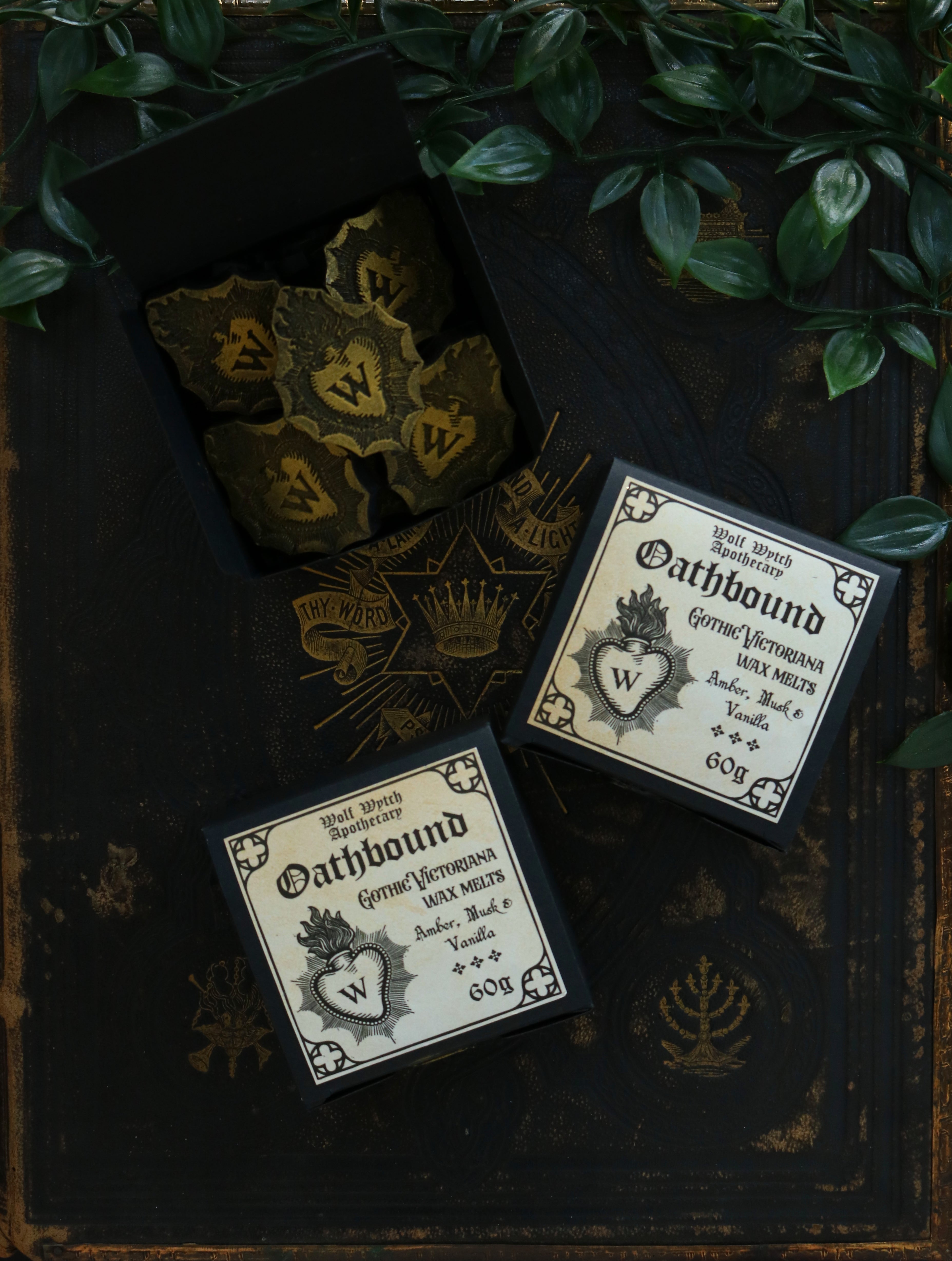 Night Wing Ornate Wax Melts