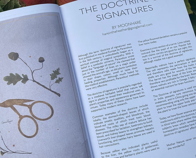 WITCHES Magazine Issue 14 / Autumn 2022