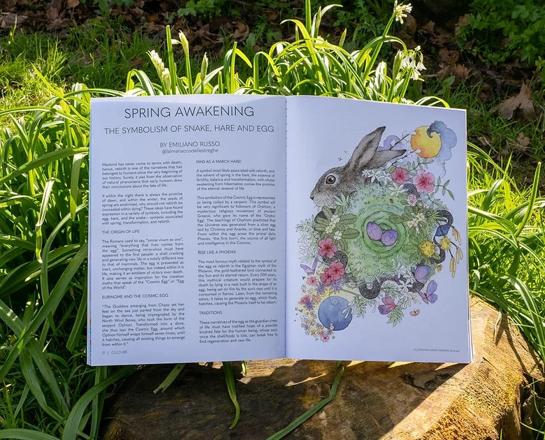 WITCHES Magazine Issue 20 / Spring 2024