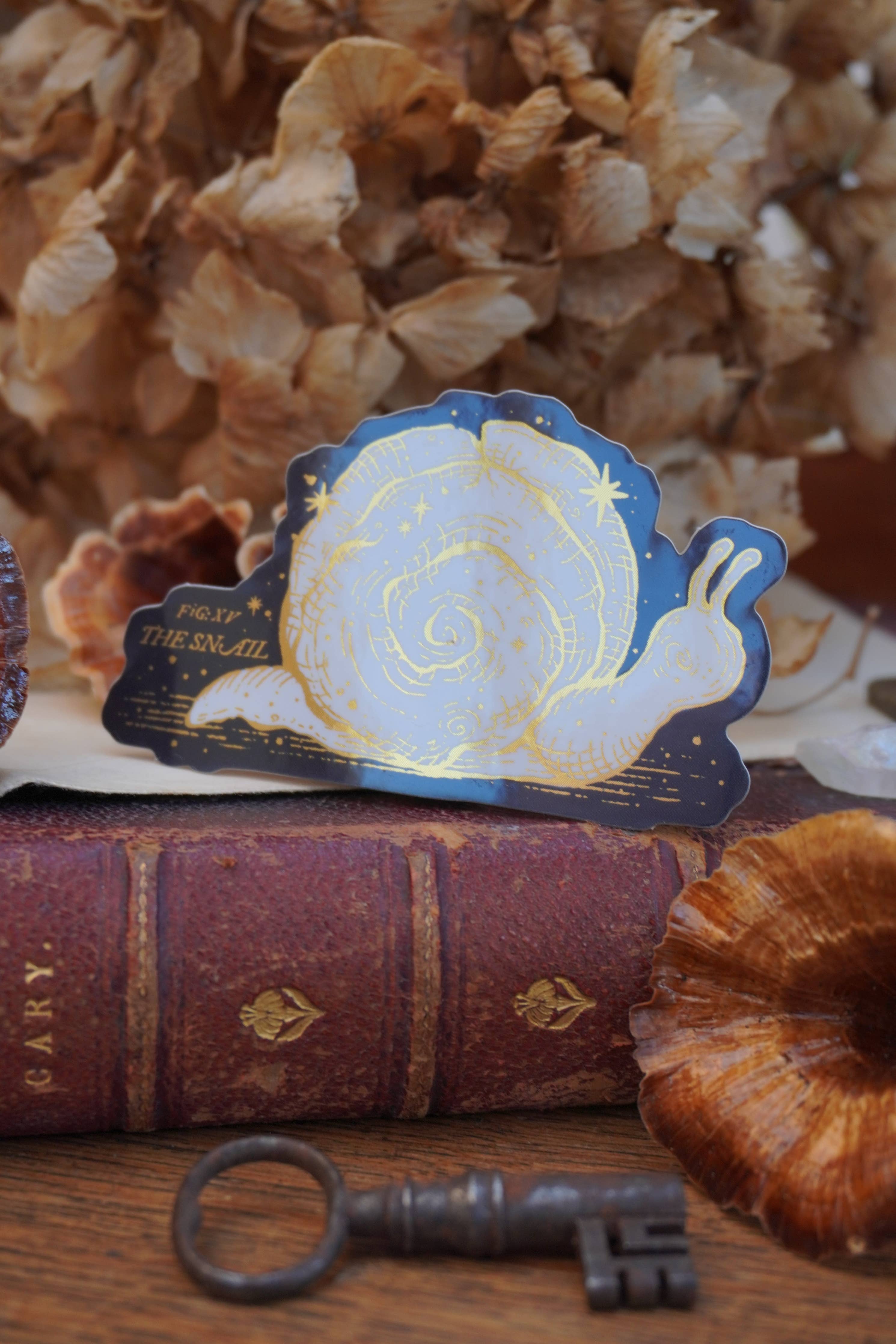 The Snail Goold Mirror Sticker - Tooth & Toad