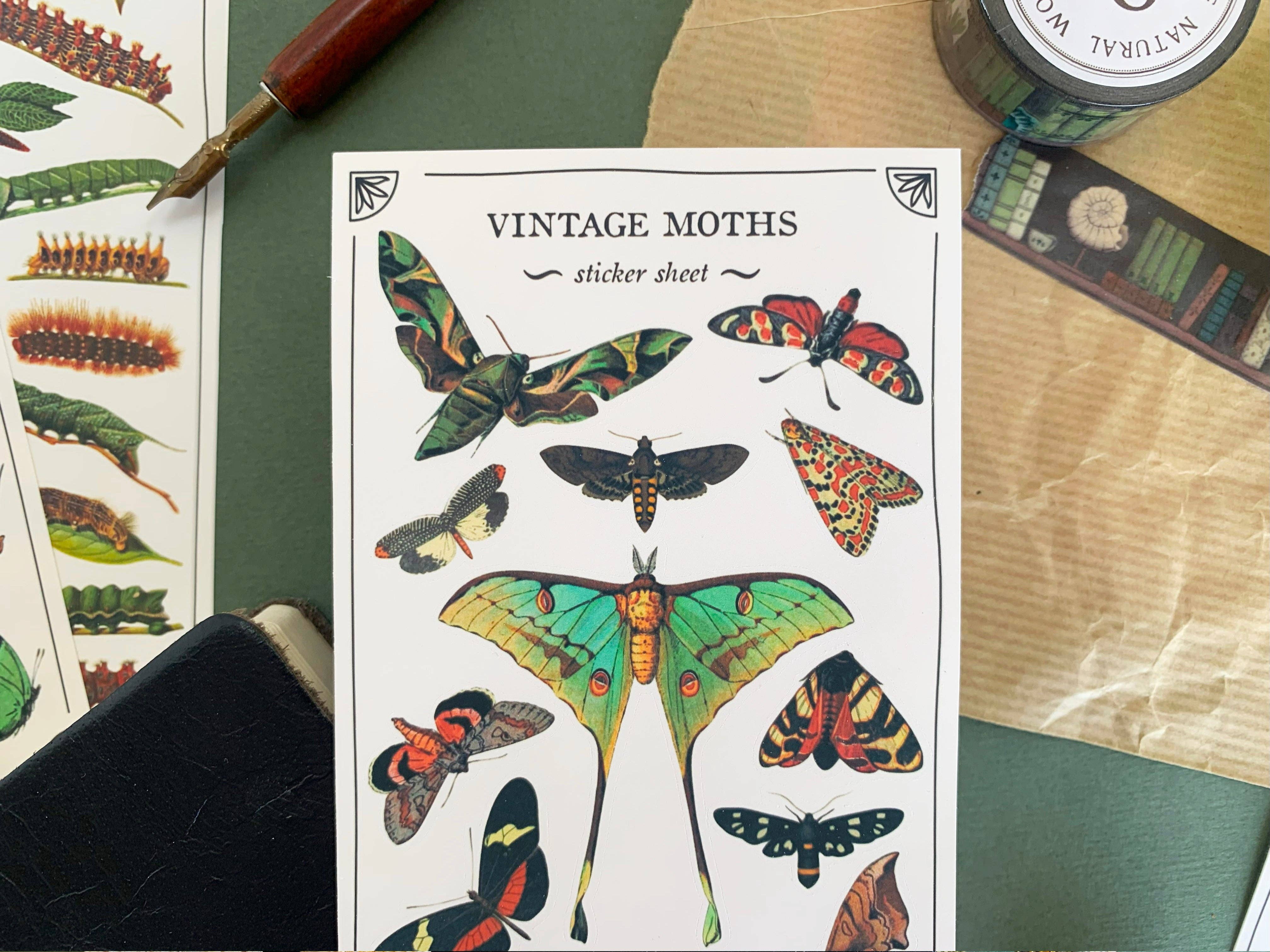 Vintage Moths Sticker Sheet
