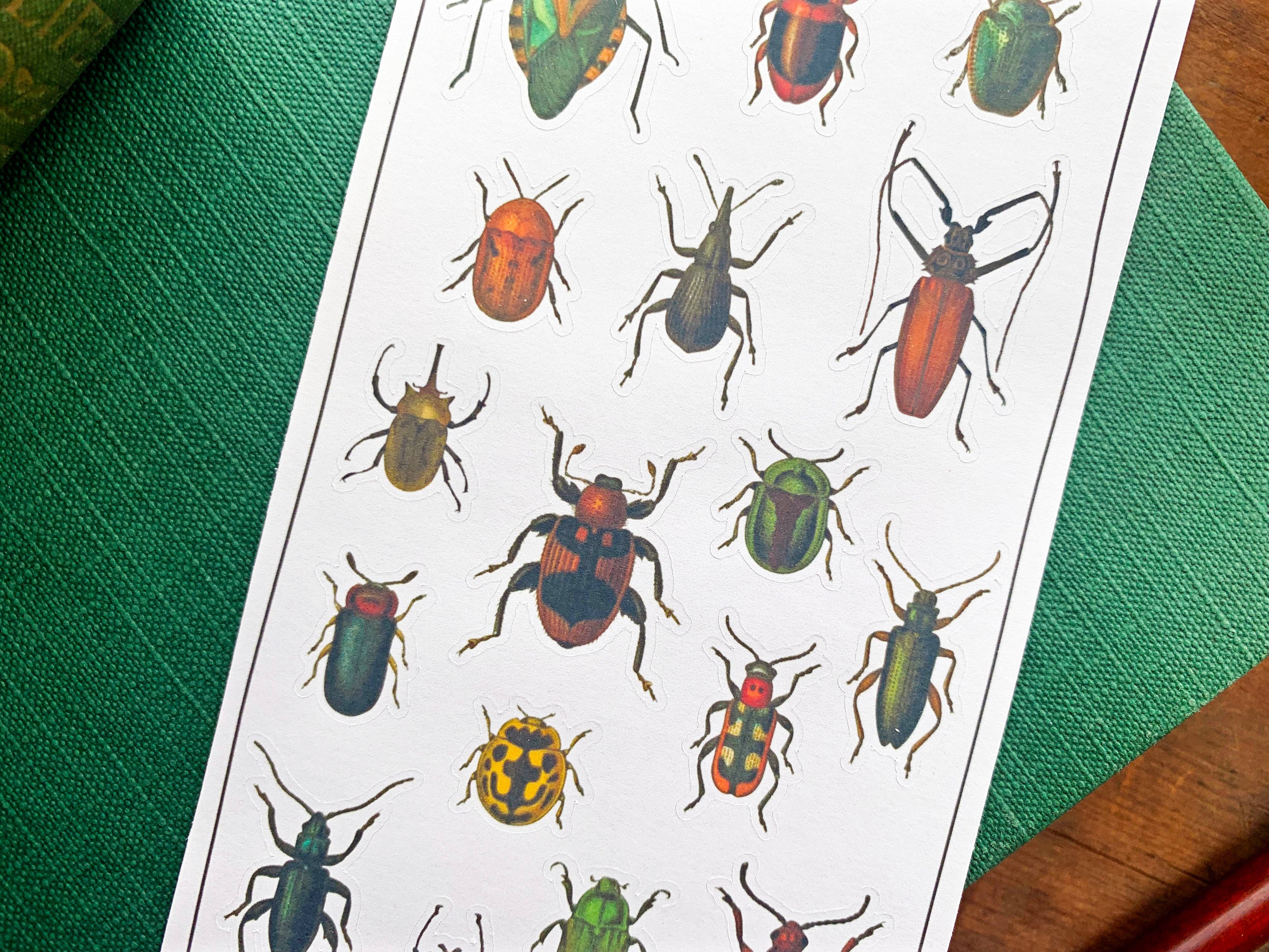 Vintage Beetles Sticker Sheet