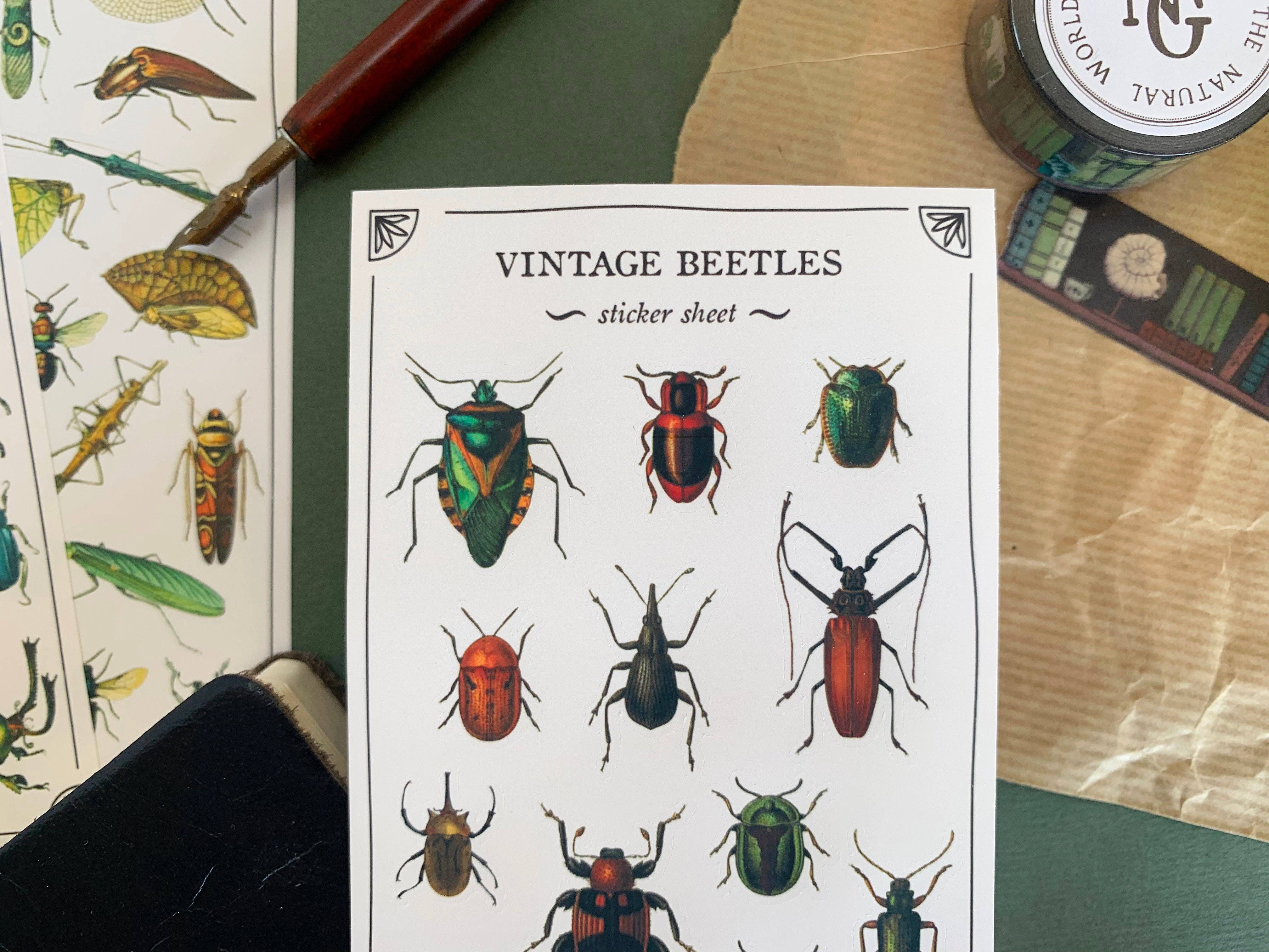 Vintage Beetles Sticker Sheet