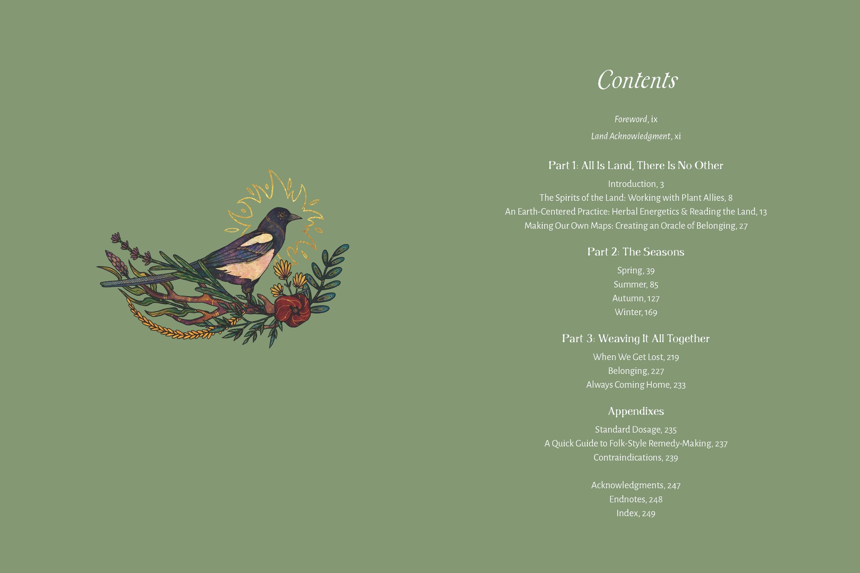 The Apothecary of Belonging: Seasonal Rituals & Herbalism