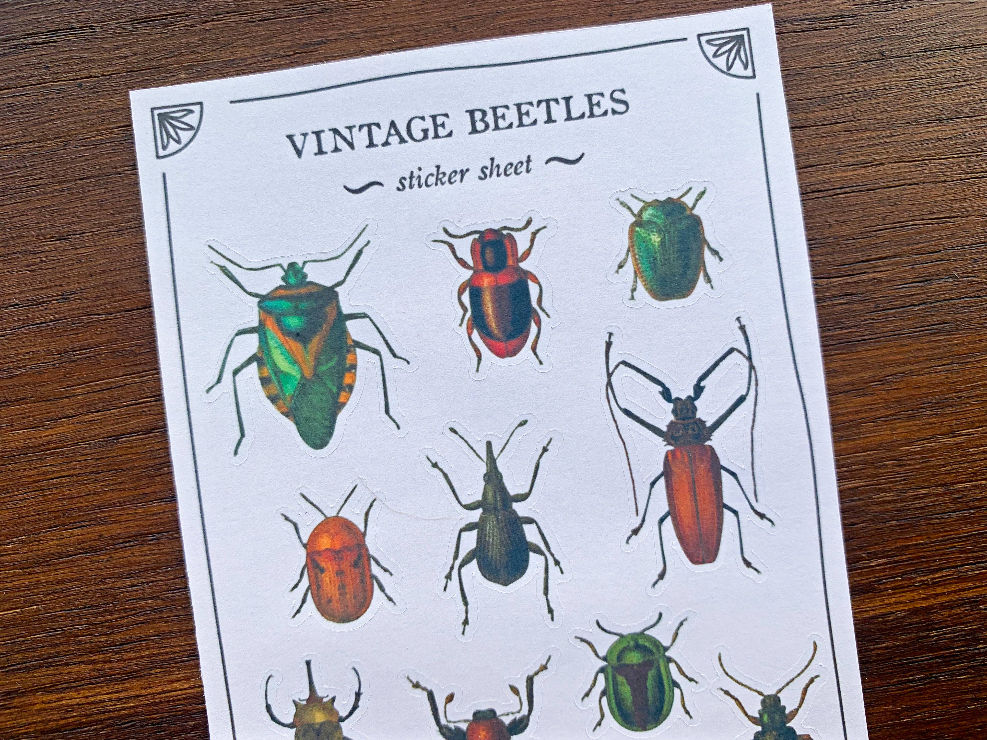 Vintage Beetles Sticker Sheet