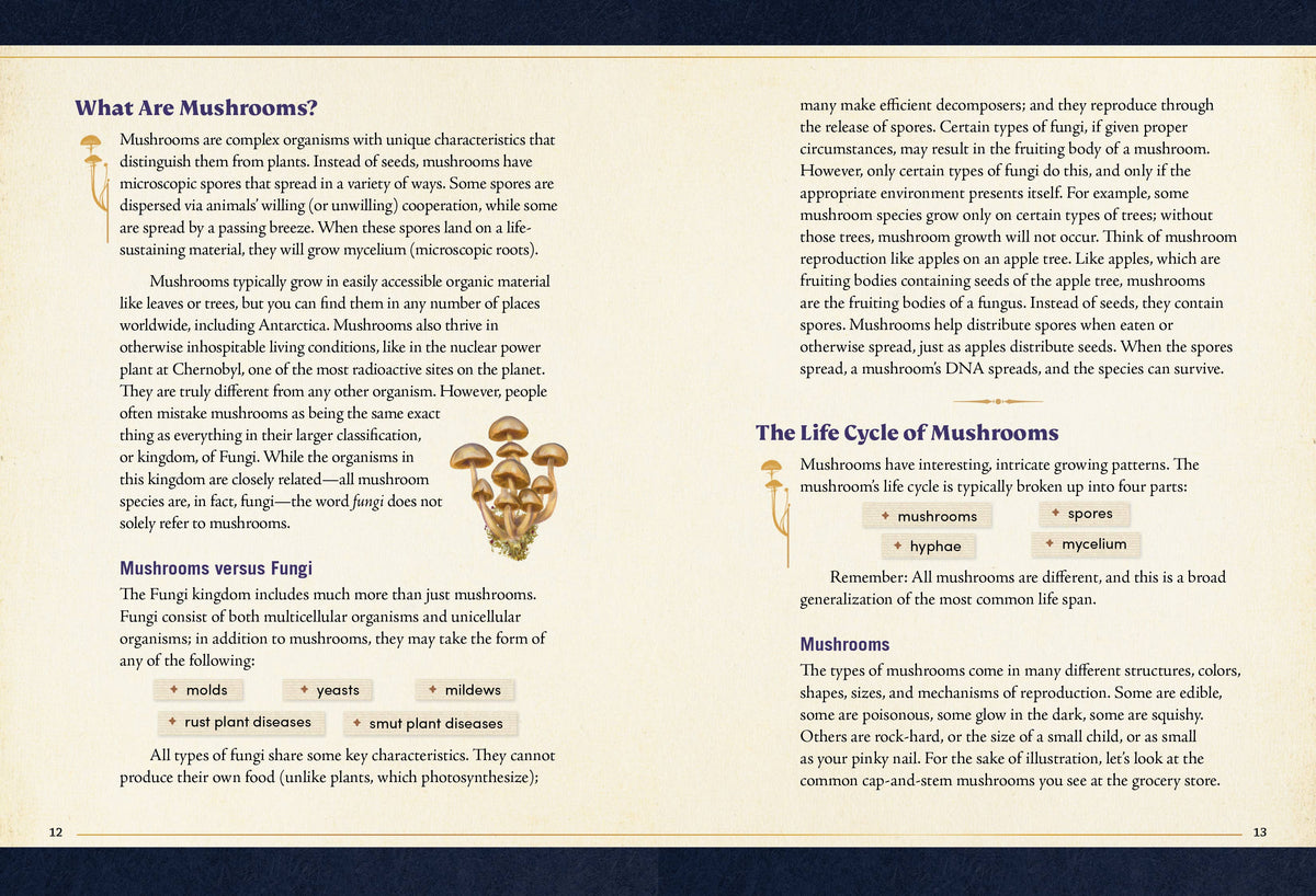 Little Book of Mushrooms