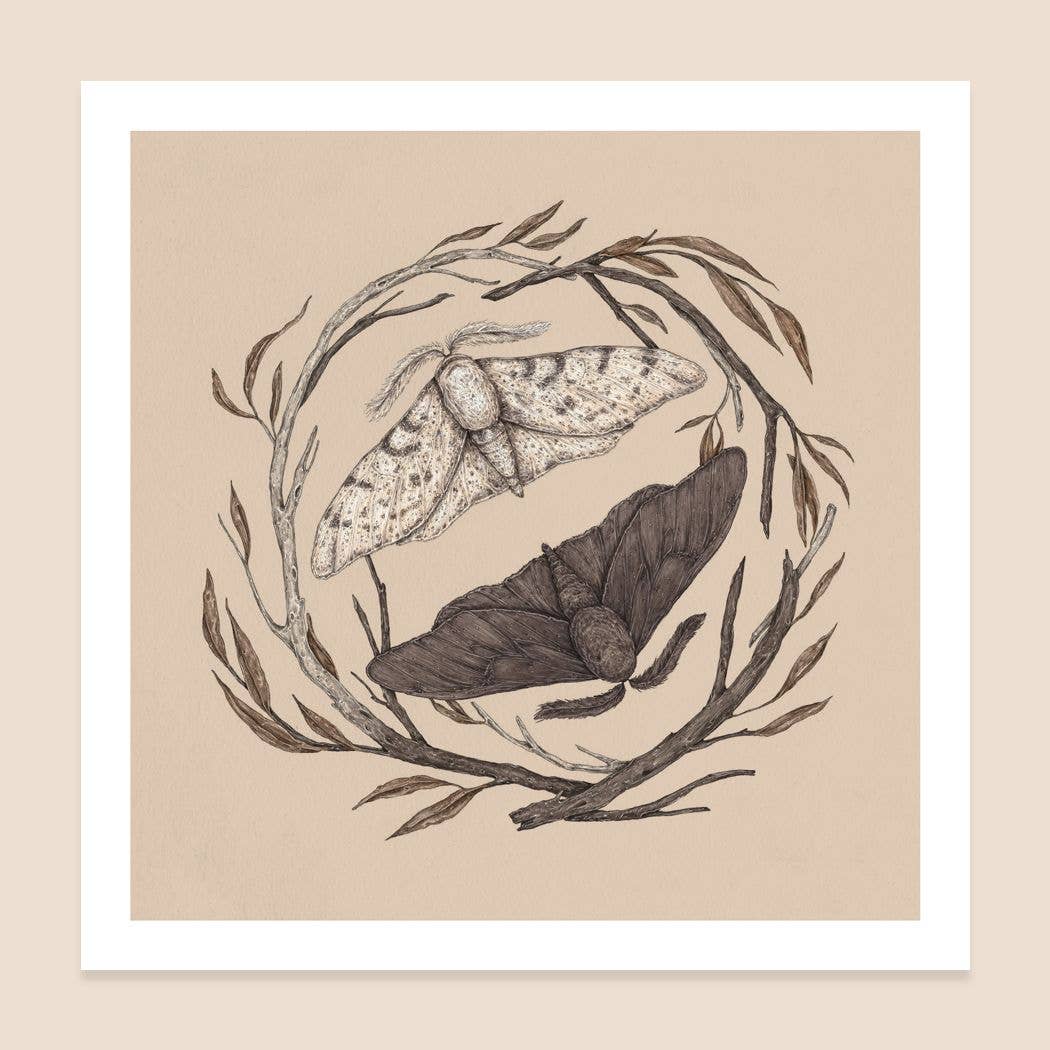 Peppered Moths Print 8" x 8" - Jessica Roux