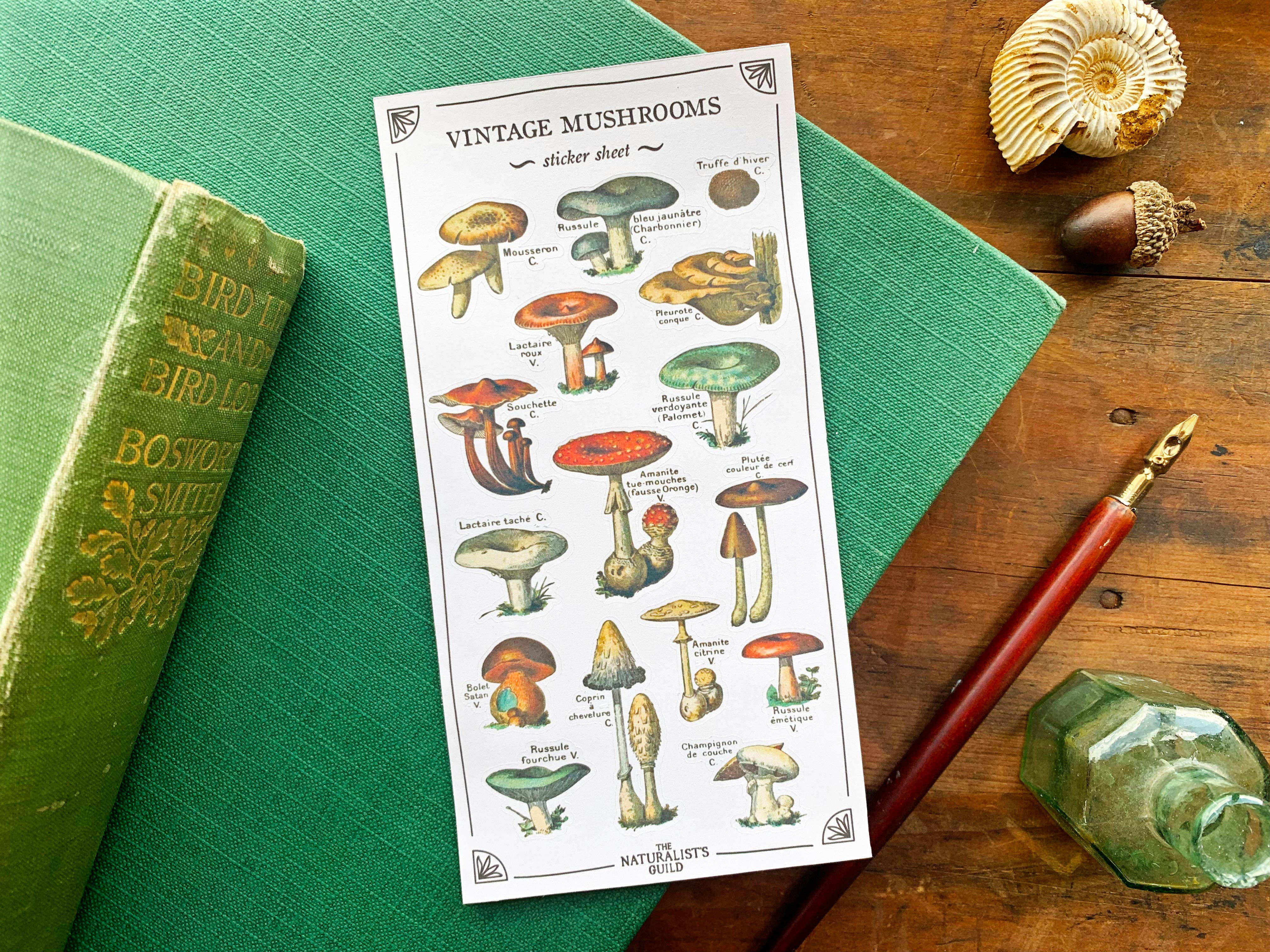 Vintage Mushroom Sticker Sheet