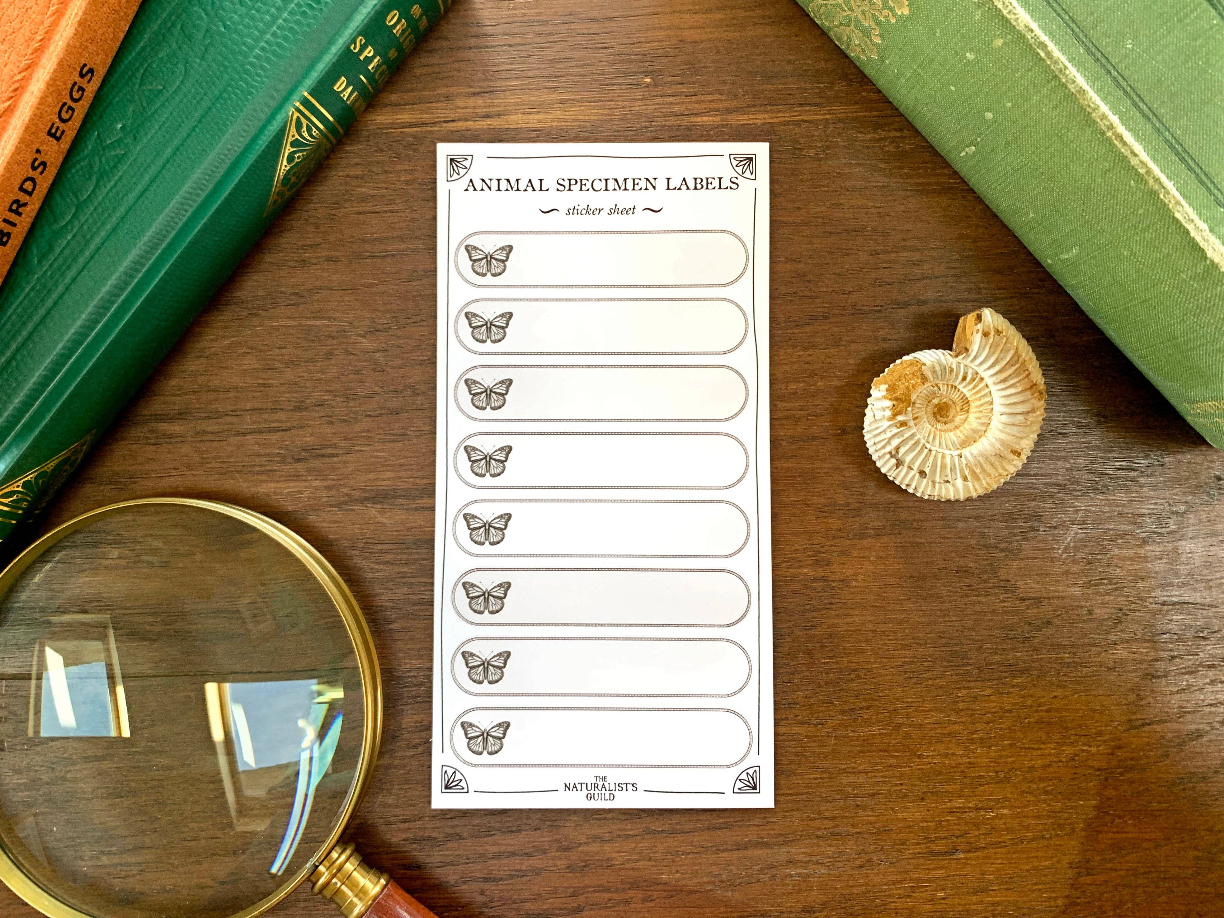 Insect/Animal Specimen Label Sheet