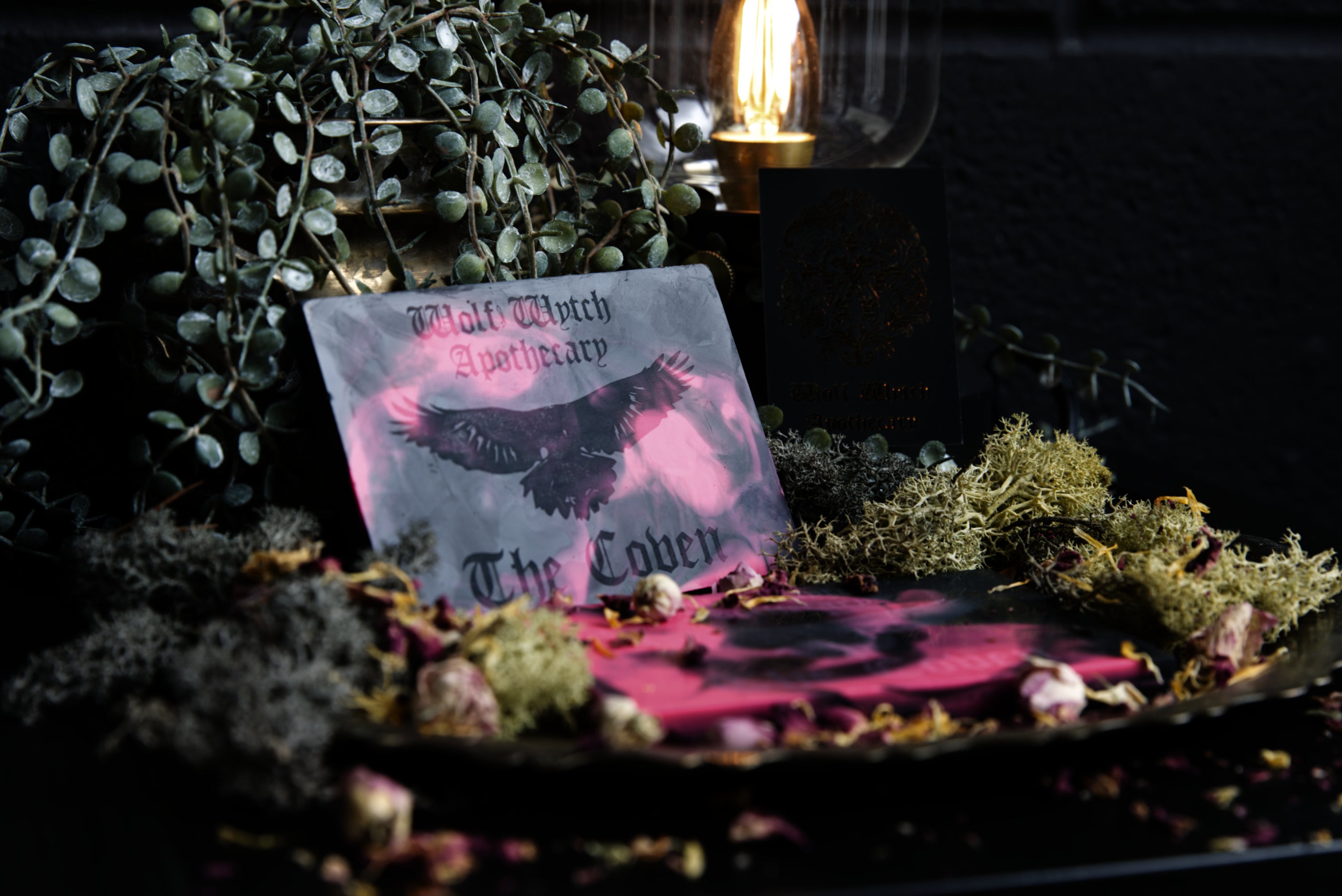 The Coven Snap Bar