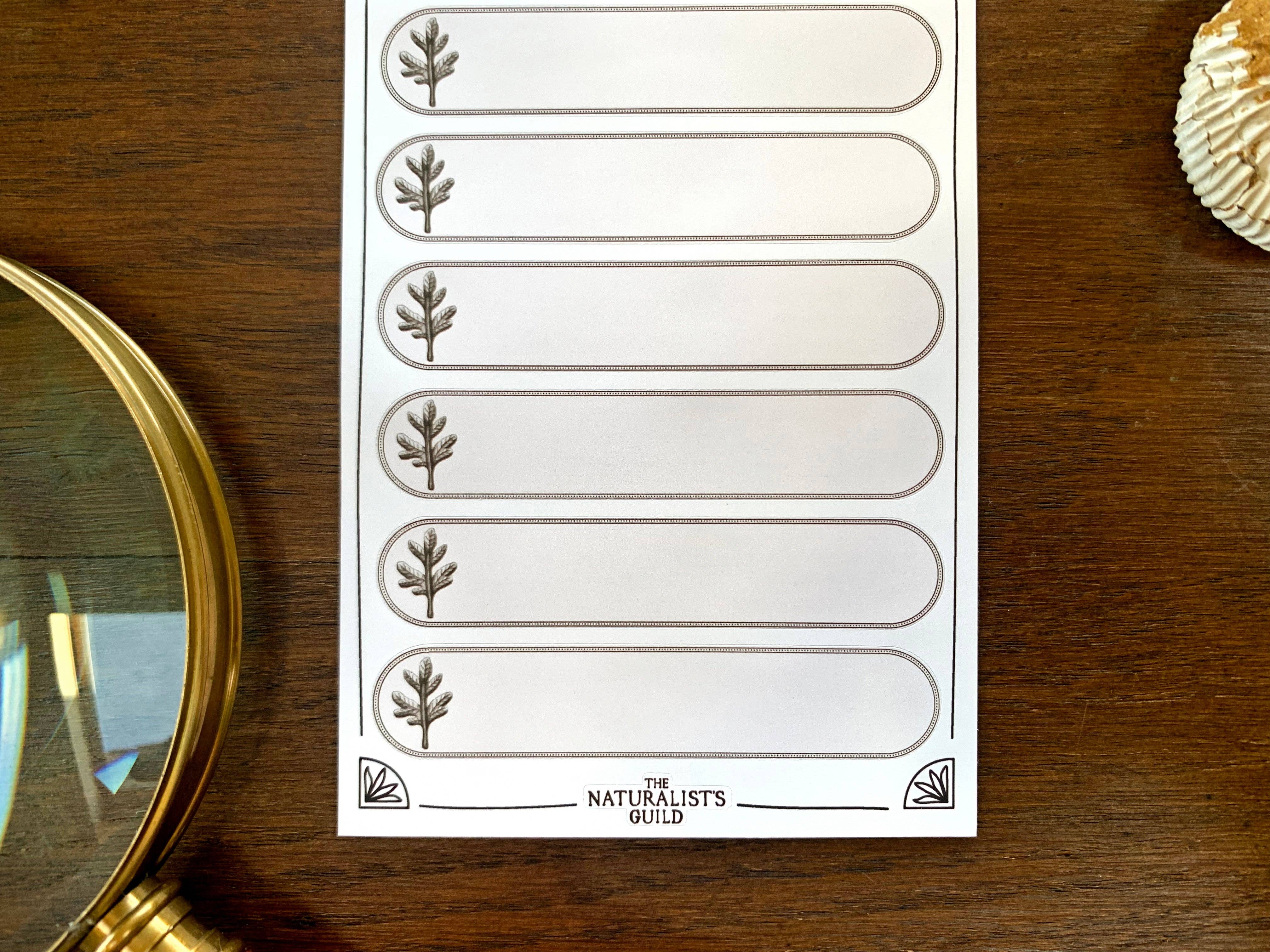 Plant Specimen Label Sheet