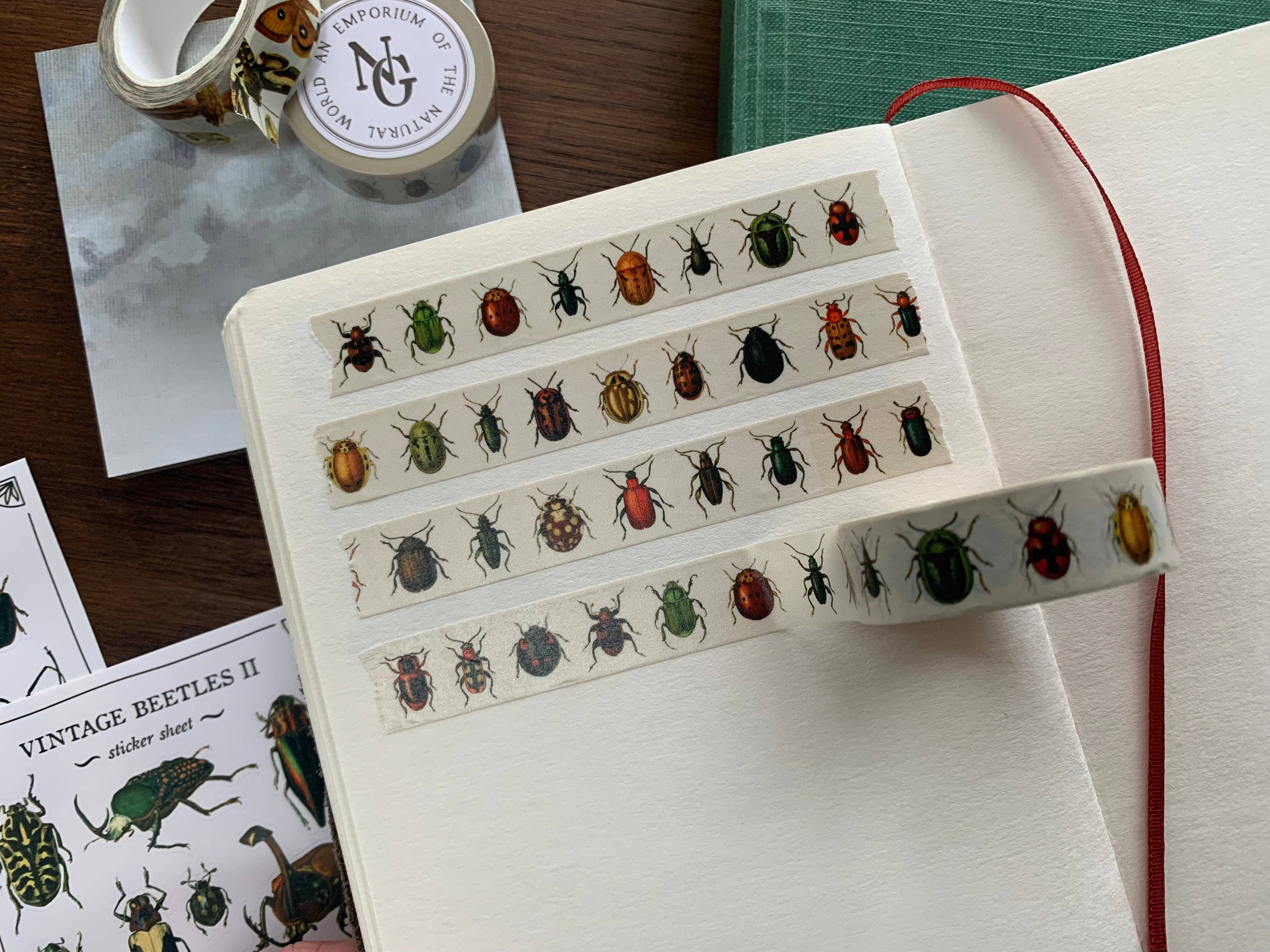 Beetles Entomology Washi Tape