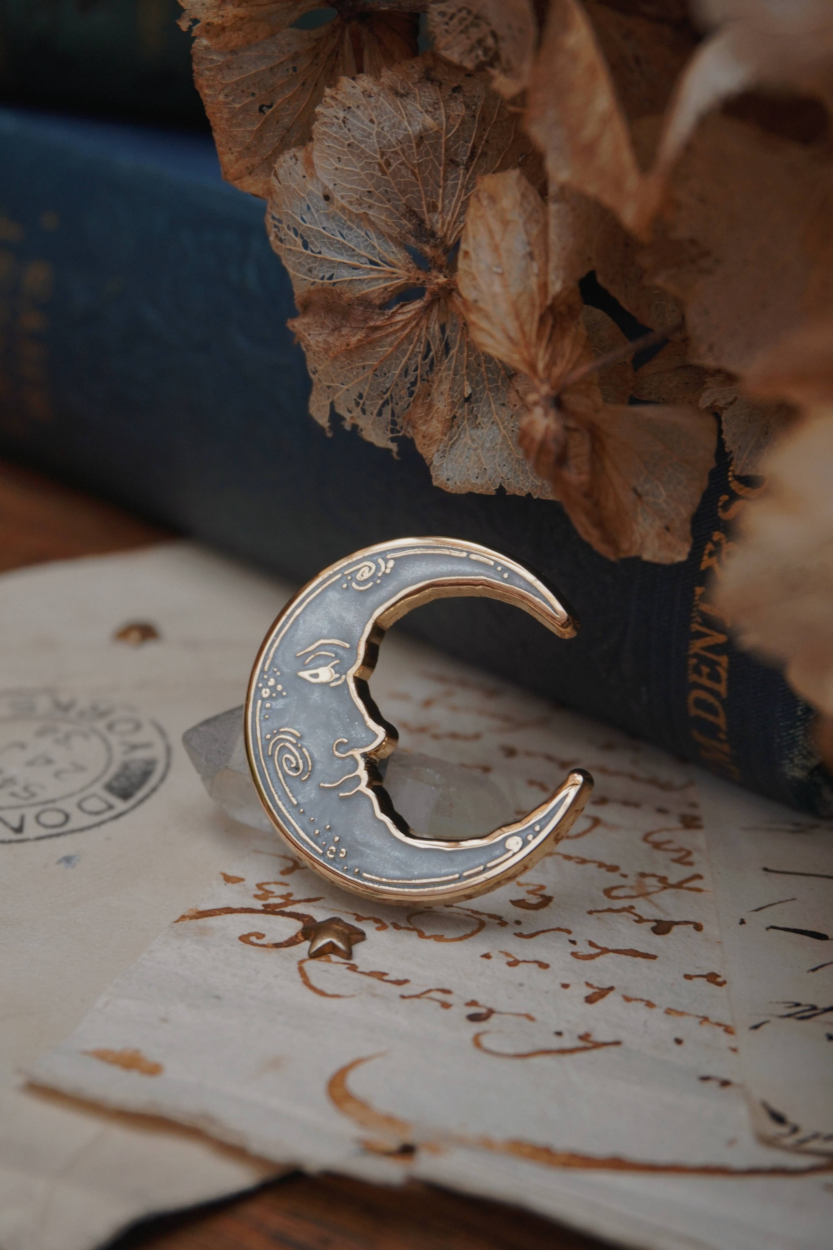 Man In The Moon Enamel Pin - Tooth & Toad