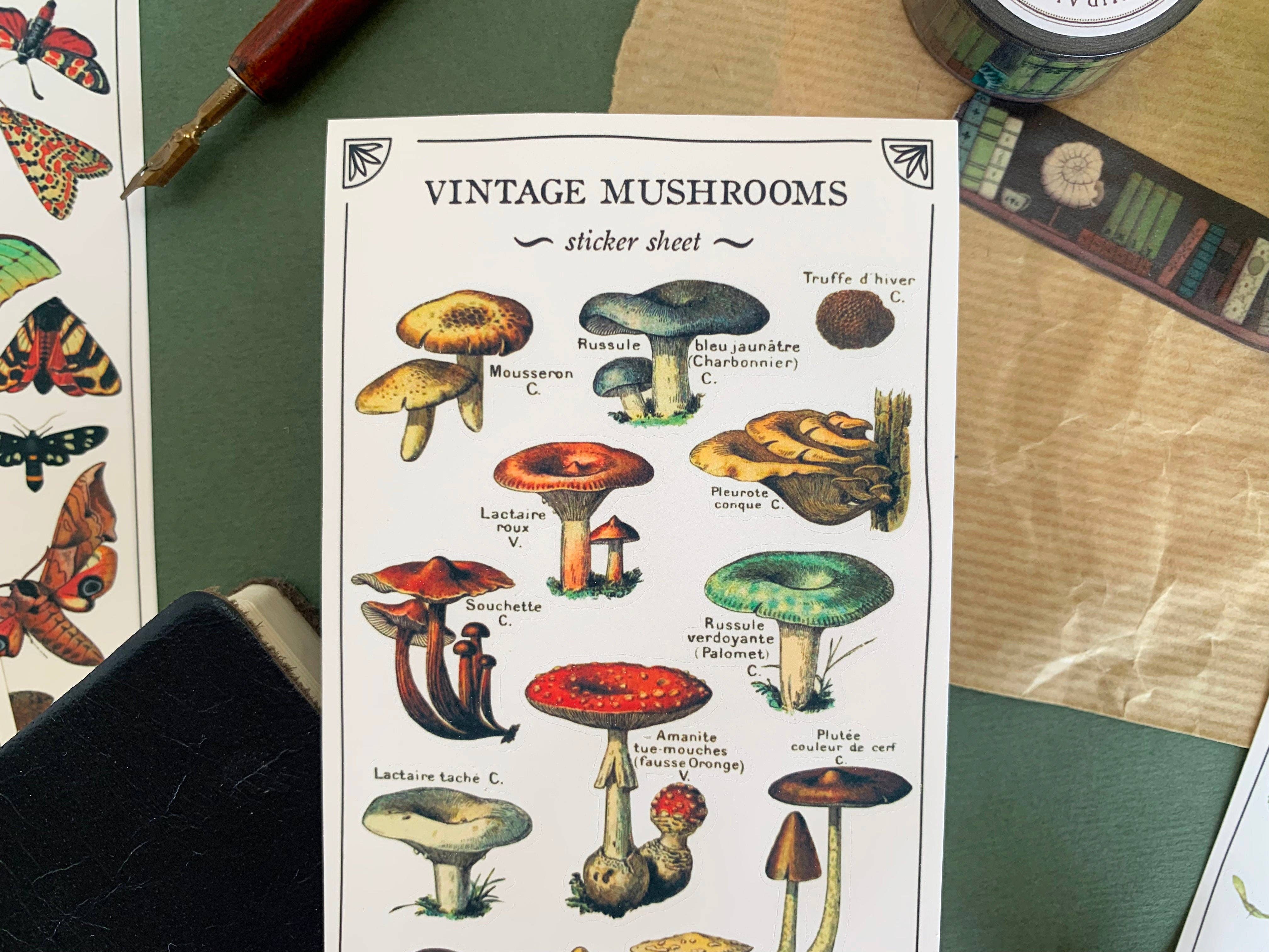 Vintage Mushroom Sticker Sheet