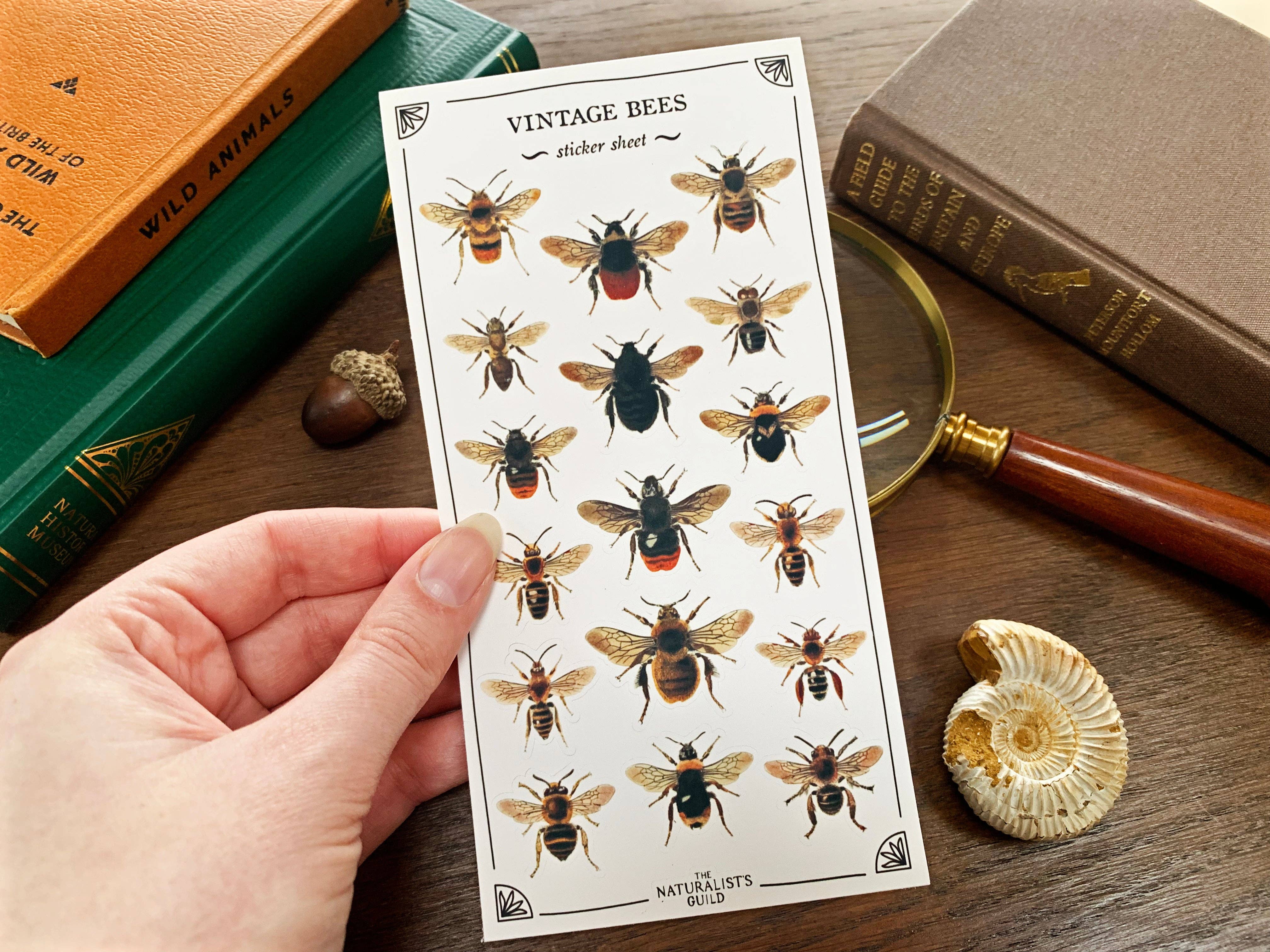 Vintage Bees Sticker Sheet