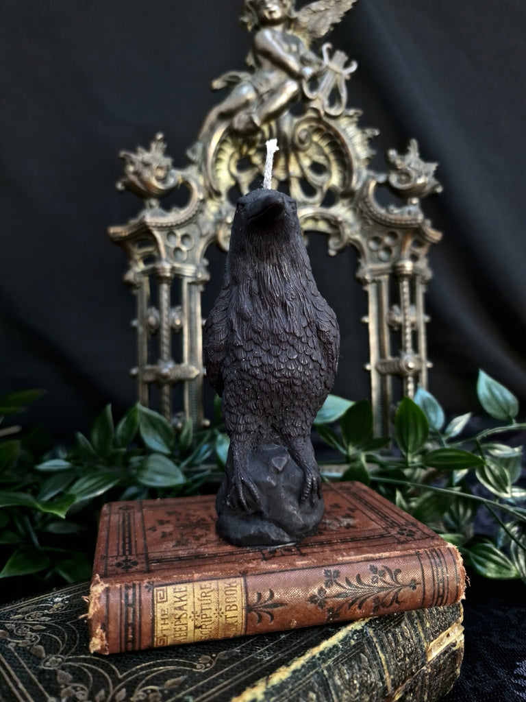 The Coven 'Edgar' Raven Pillar Candle