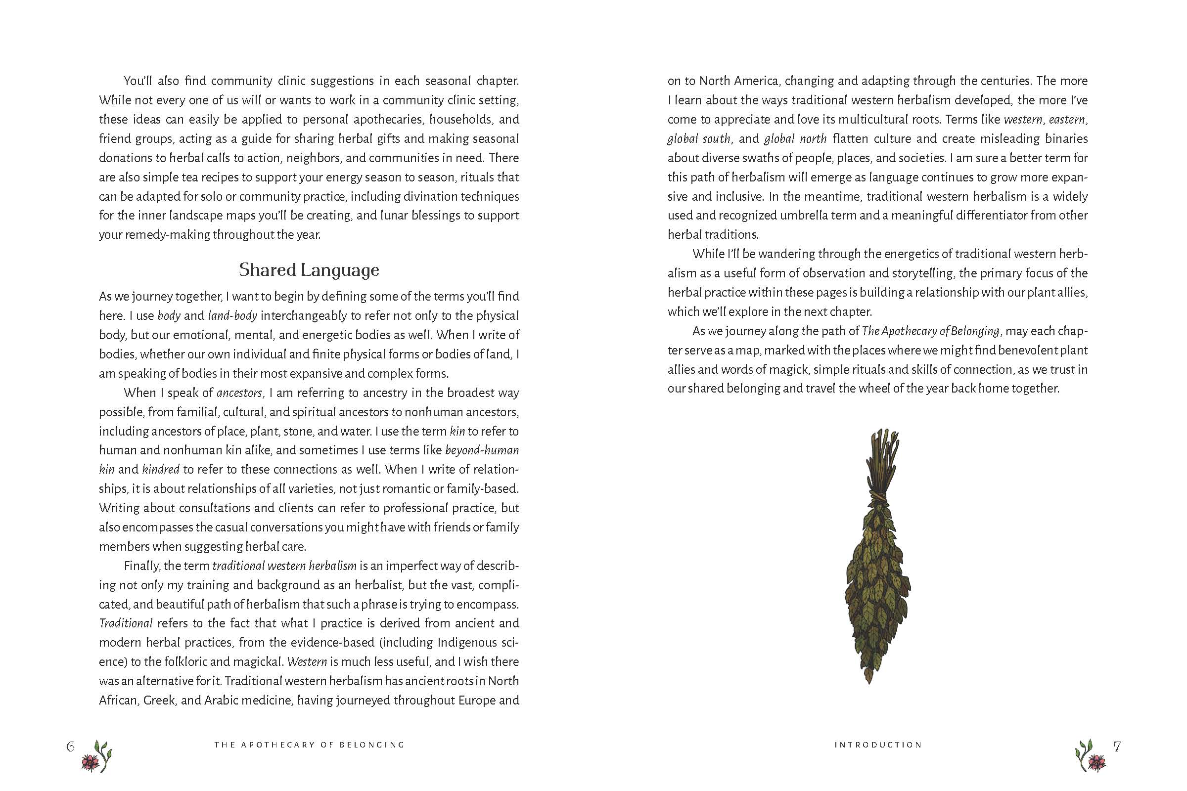 The Apothecary of Belonging: Seasonal Rituals & Herbalism