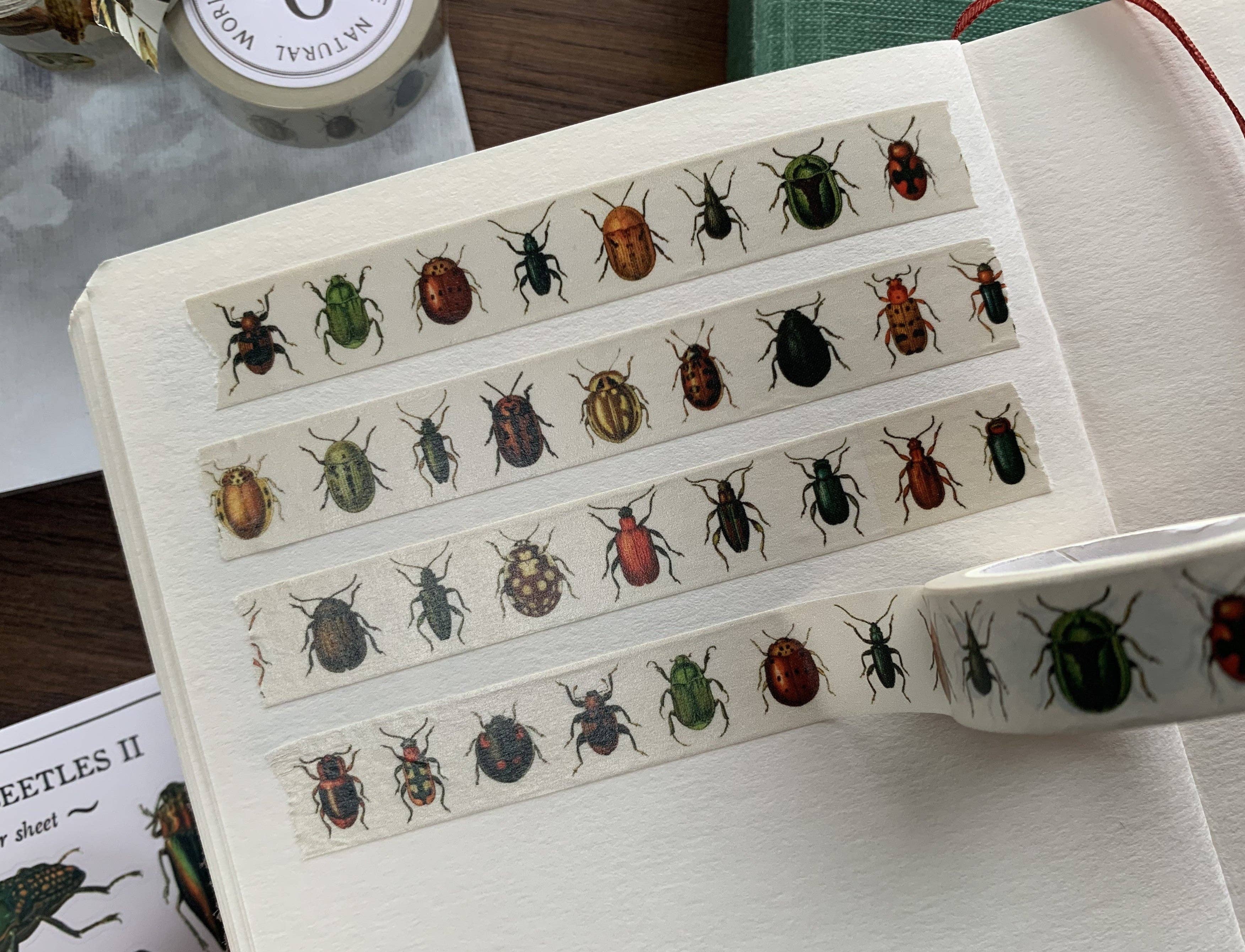 Beetles Entomology Washi Tape