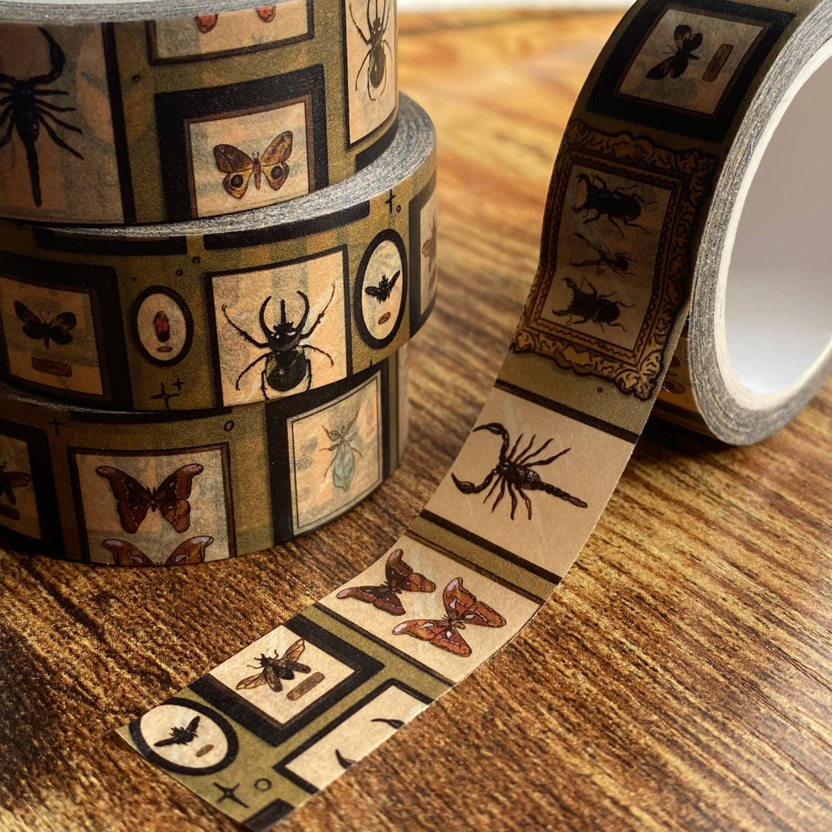 Bug Wall Washi Tape – Wolf Wytch
