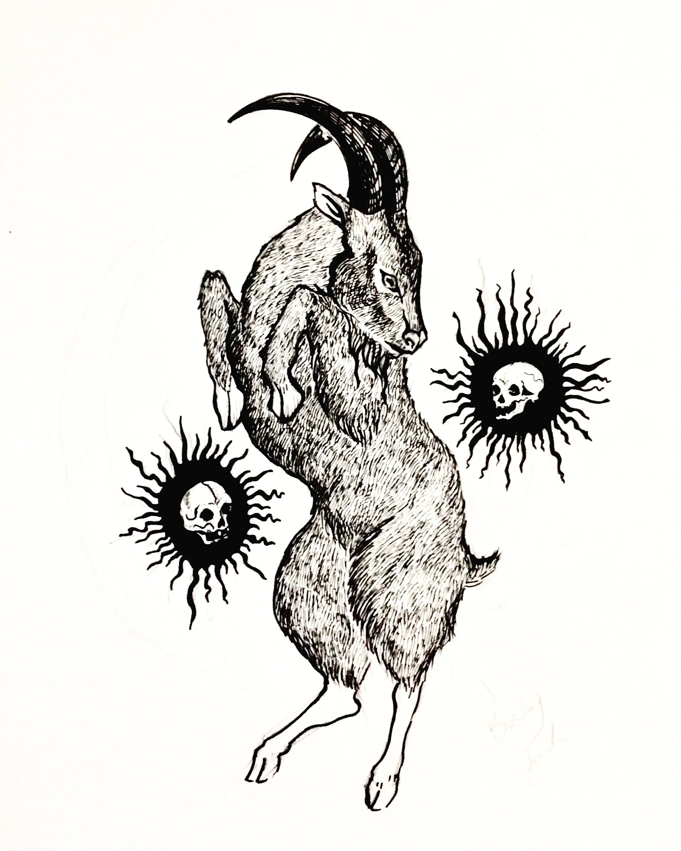 Goat Art Print - Black & Bone