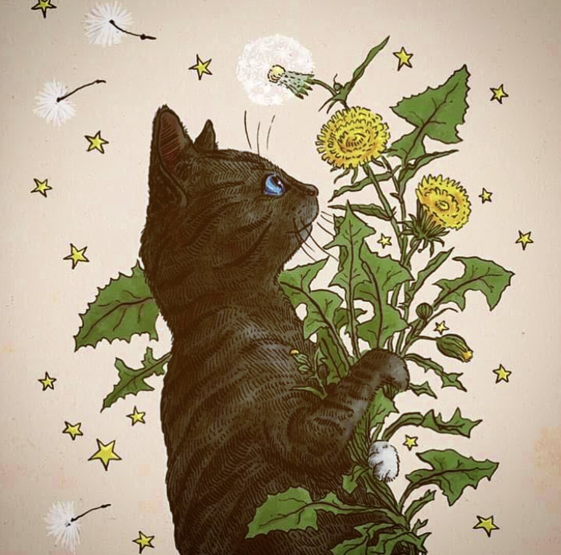 Gobbolino's Garden Tea - Tarn & Moon