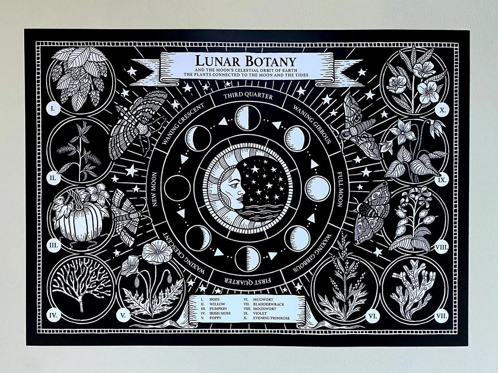 Lunar Botany A3 Print
