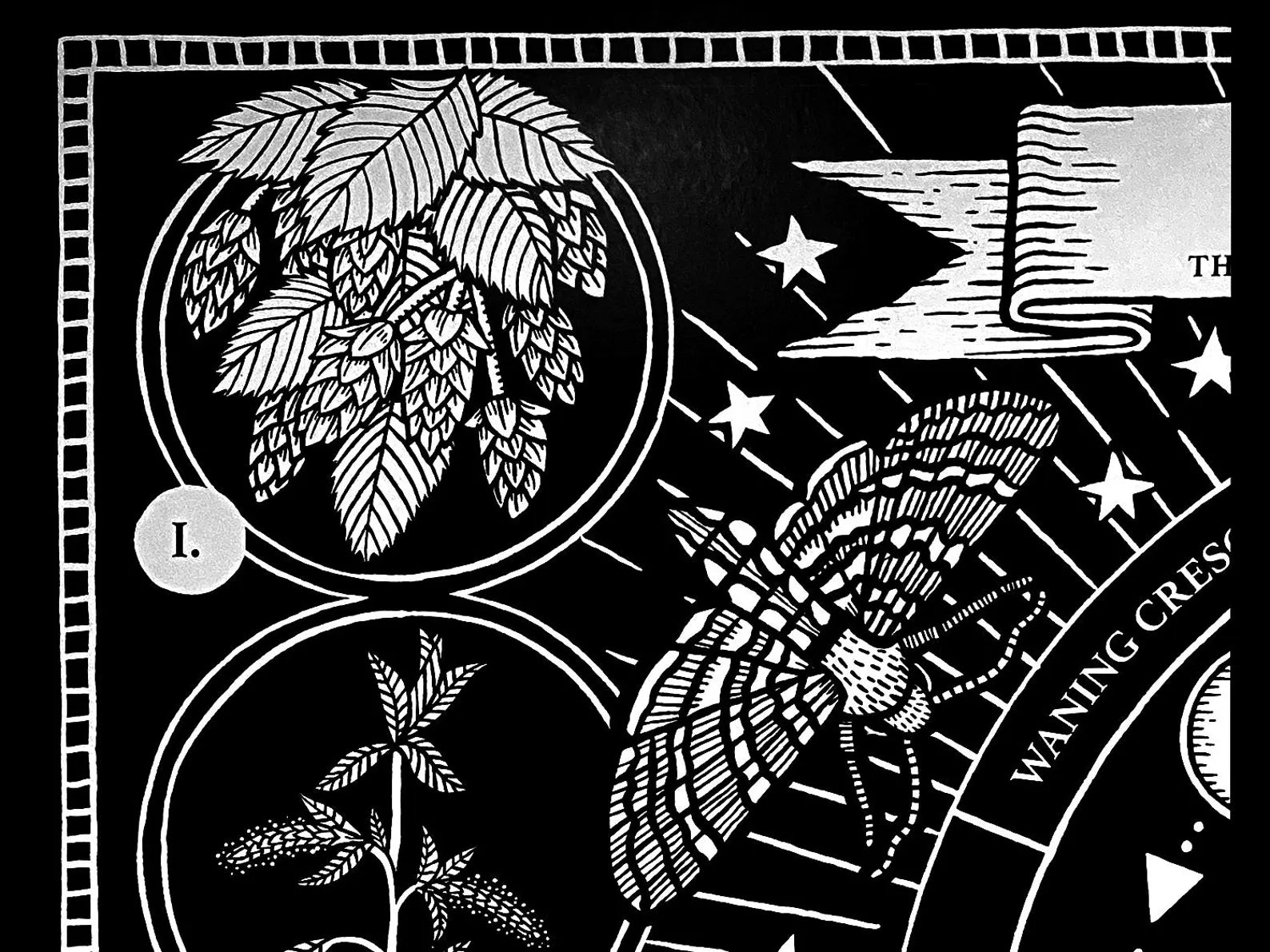 Lunar Botany A3 Print