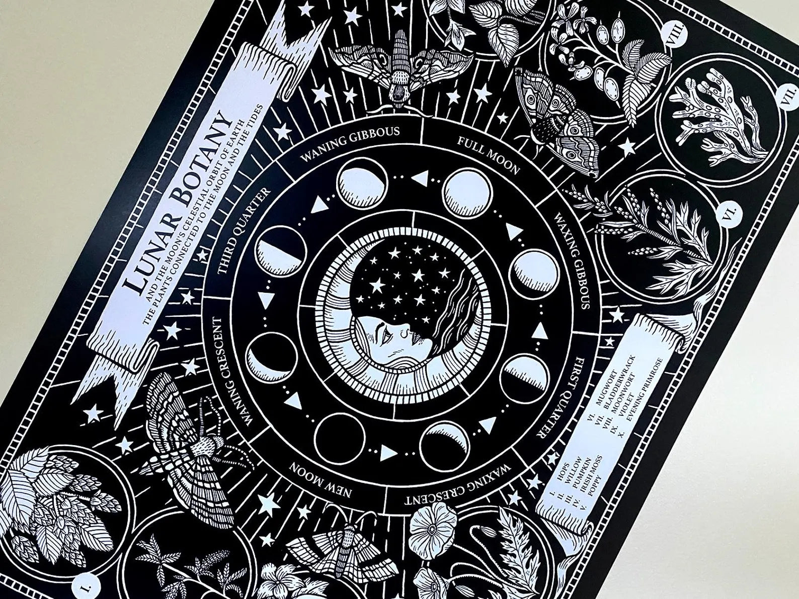 Lunar Botany A3 Print