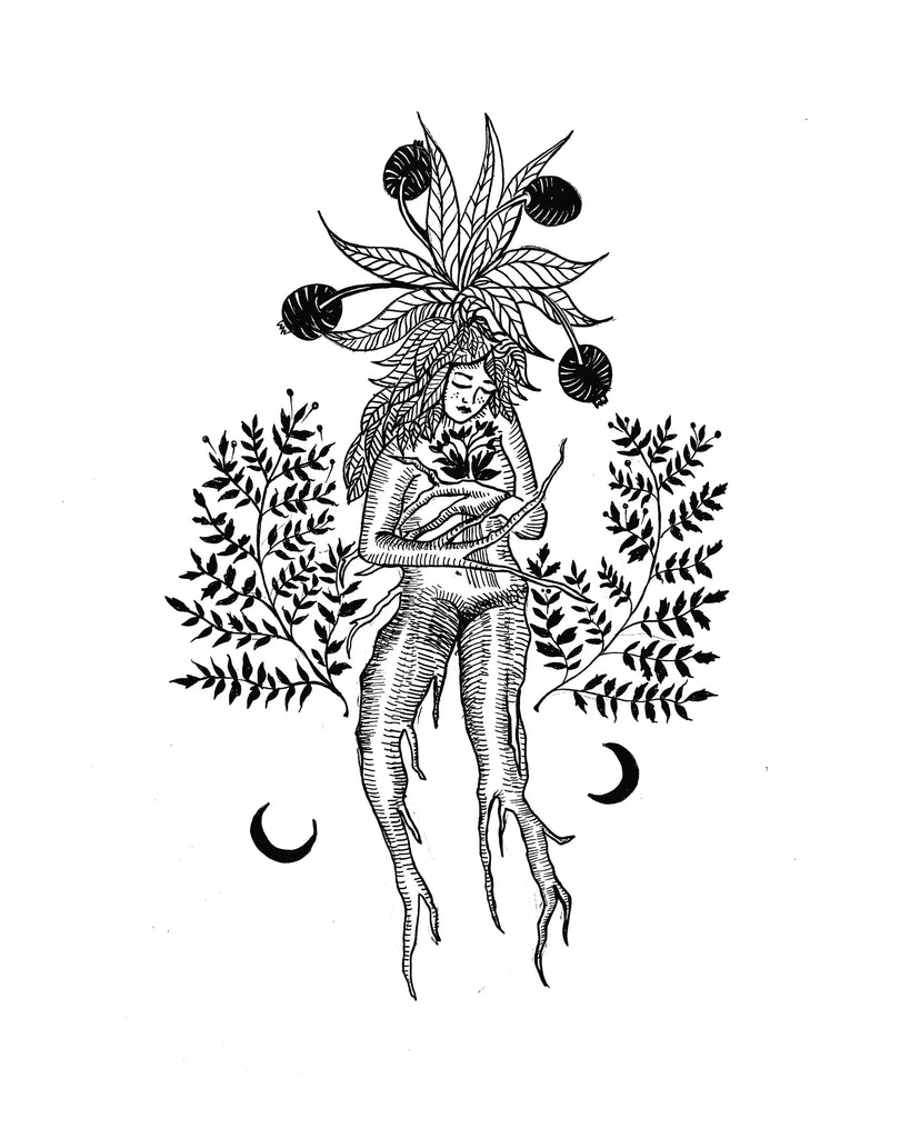 Mandrake Art Print - Black & Bone