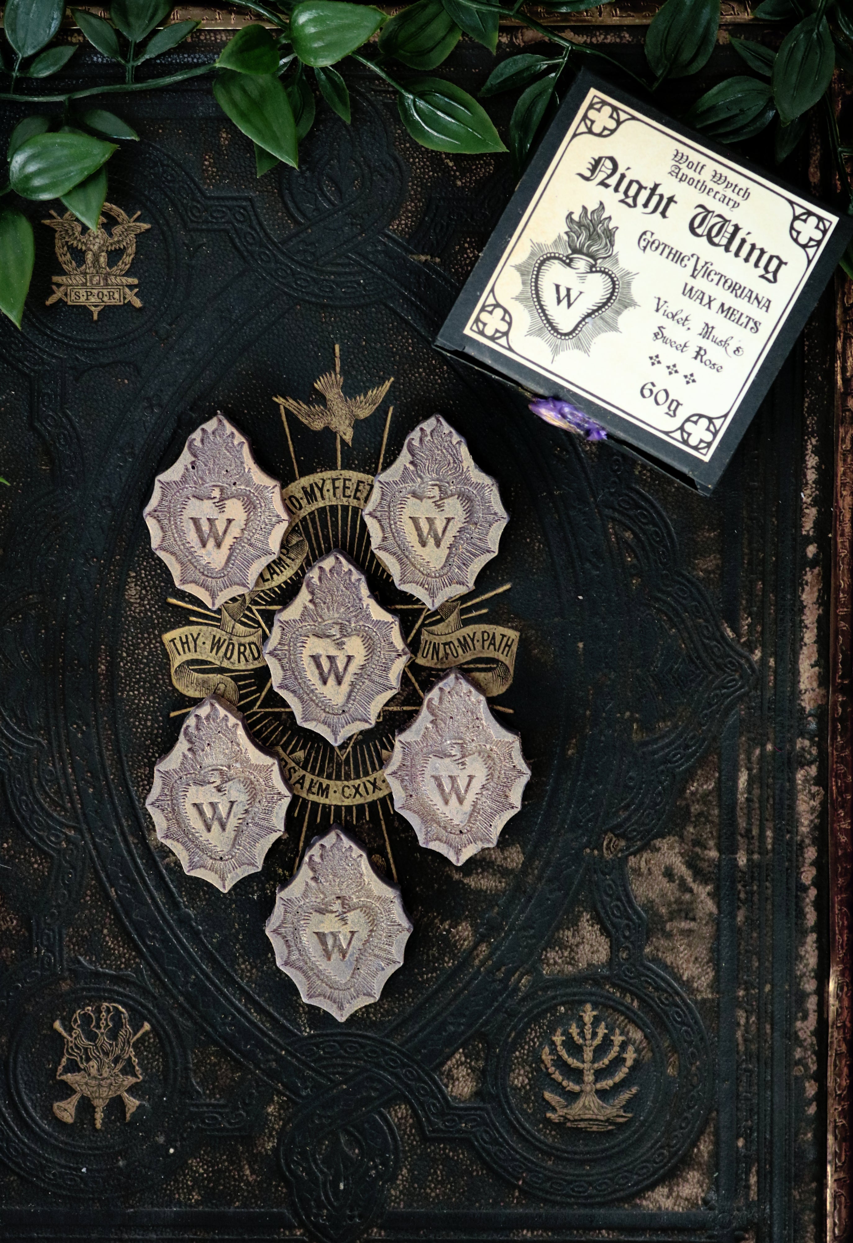 Night Wing Ornate Wax Melts