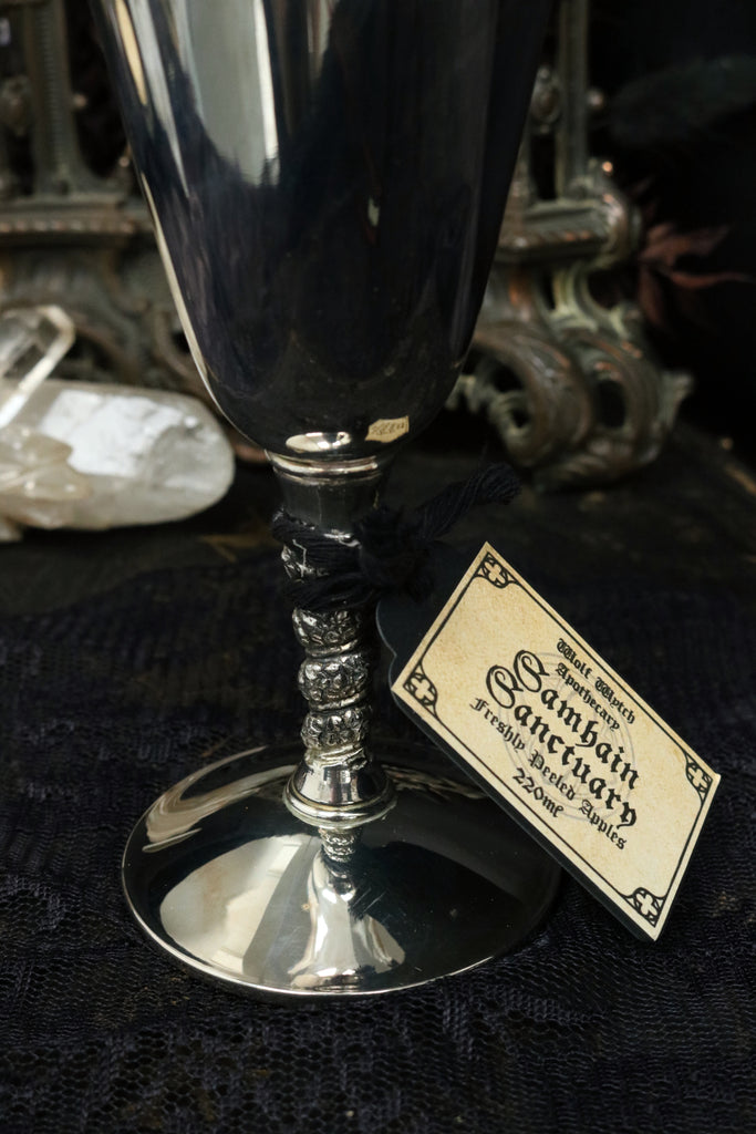 Samhain Sanctuary - Vintage Silver Plated Vine Stem Chalice 220ml