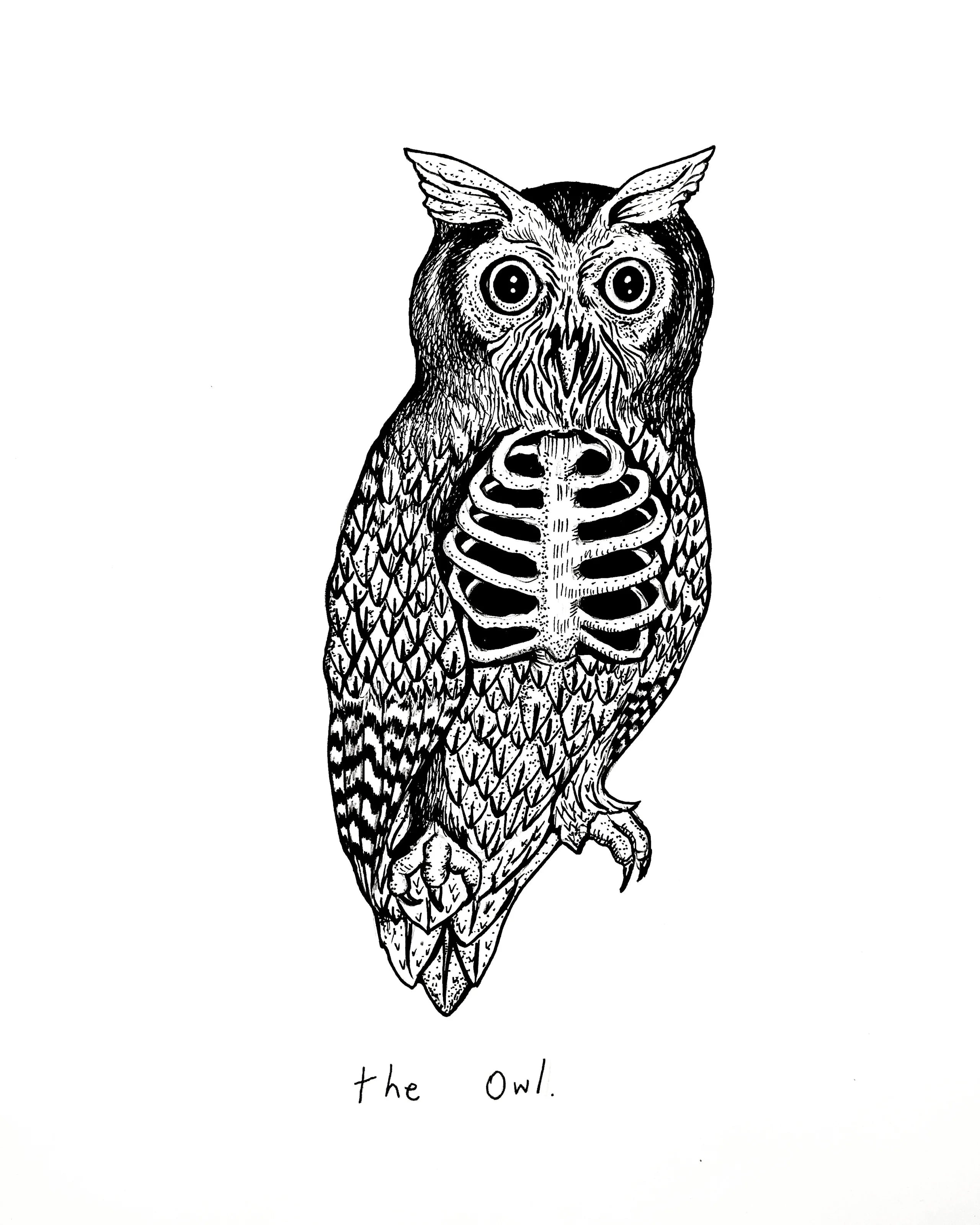 The Owl Art Print - Black & Bone