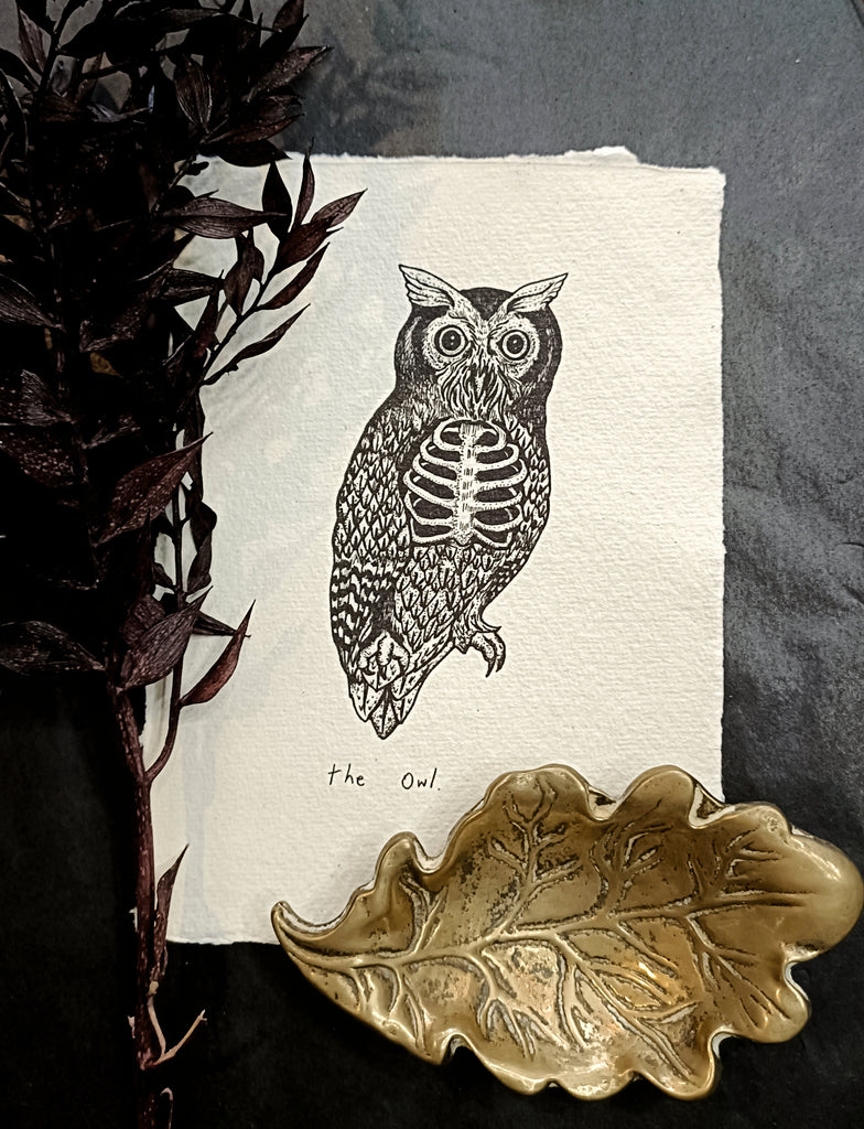 The Owl Art Print - Black & Bone