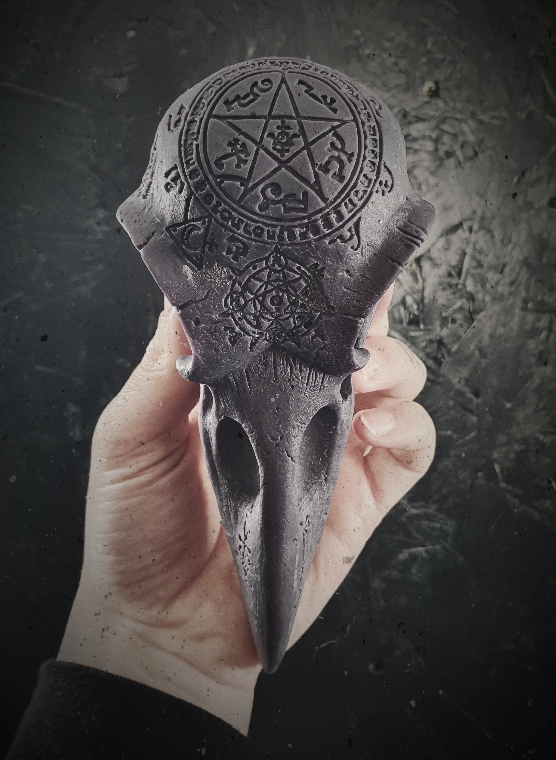 The Coven Raven Wax Melts