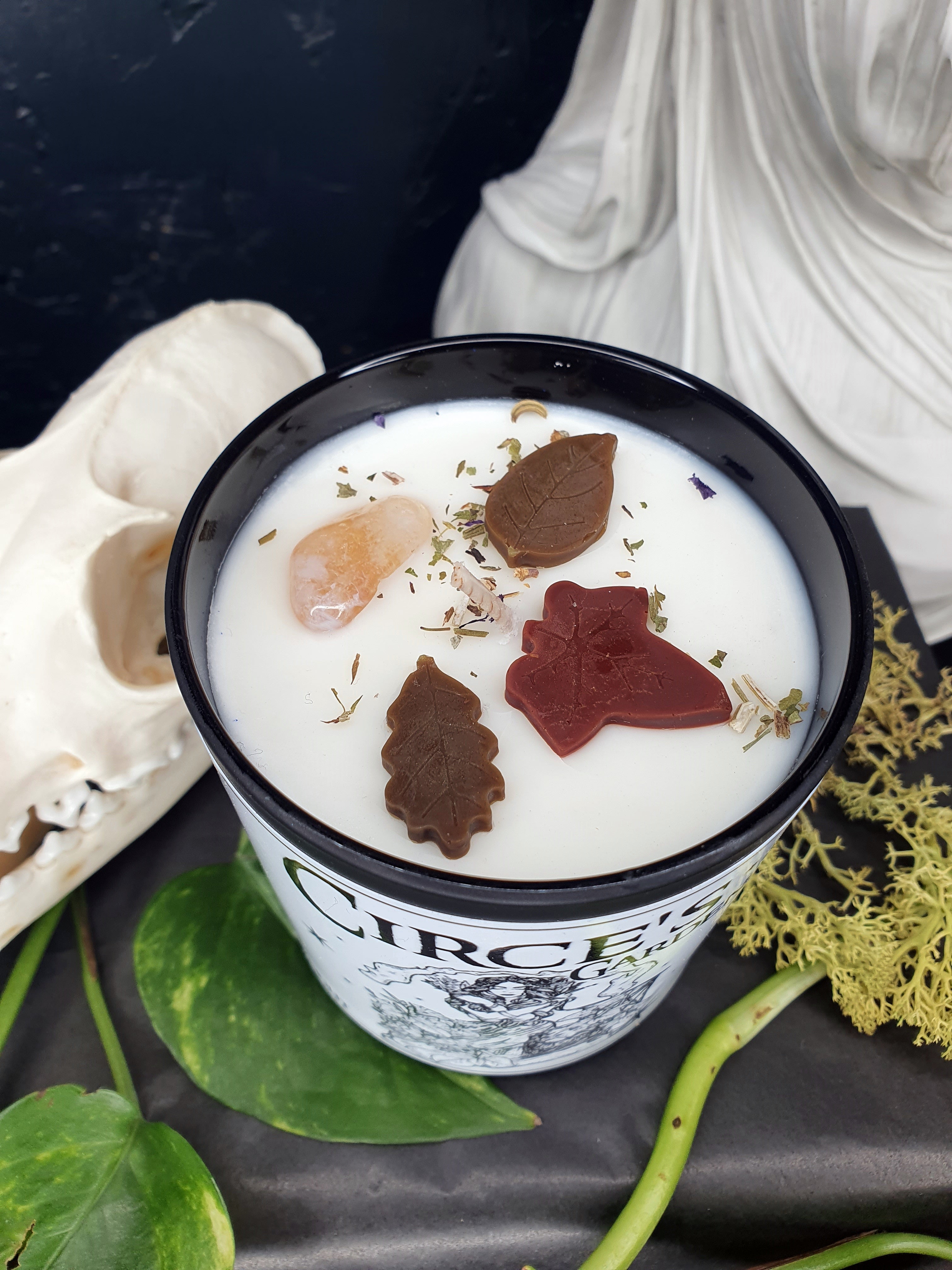 Circe's Garden Candle | Fresh Citrus & Herbs