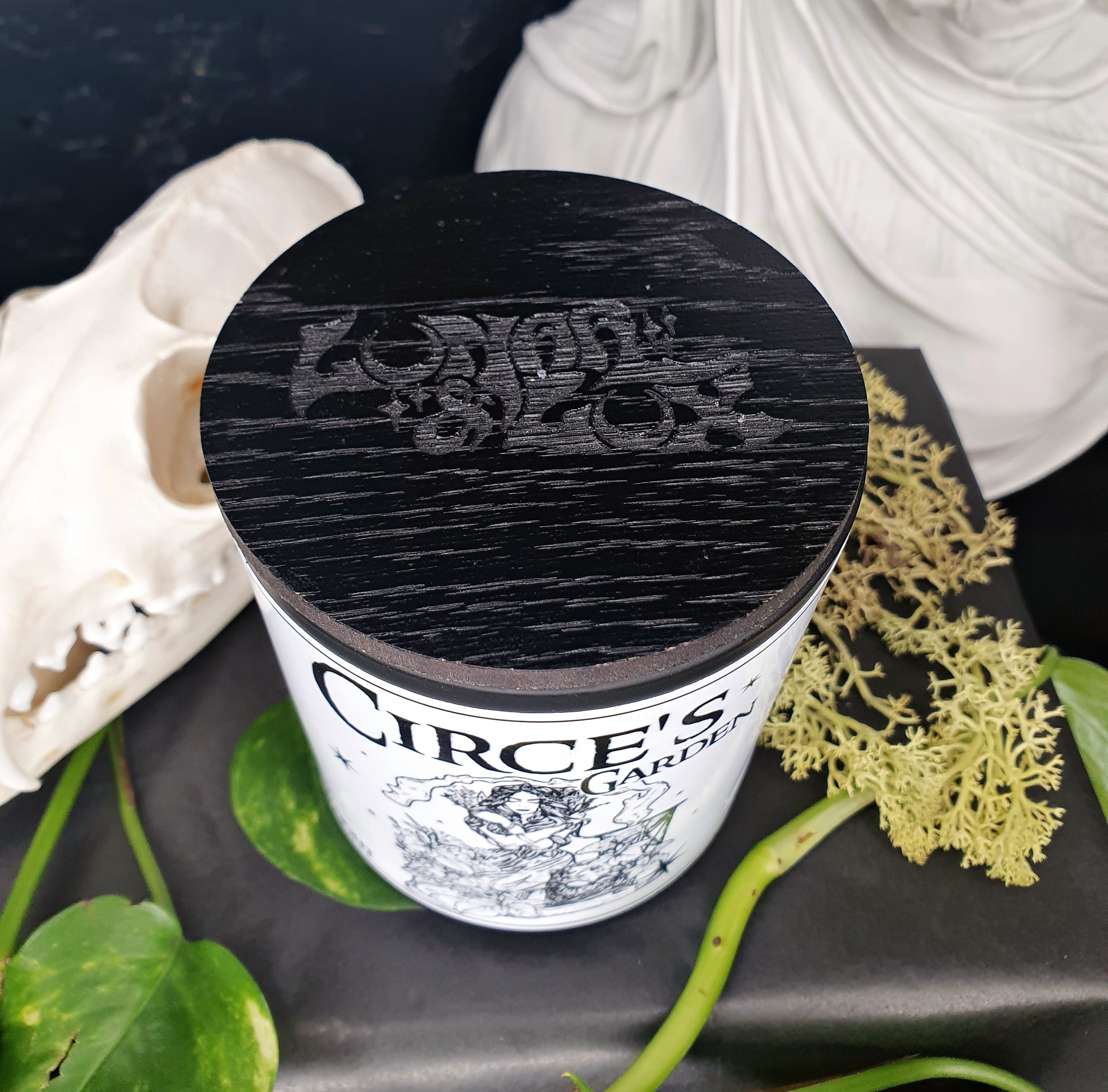 Circe's Garden Candle | Fresh Citrus & Herbs