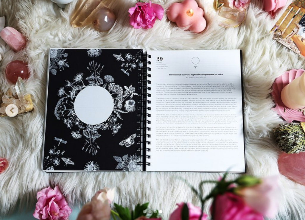 Many Moons 2023 Planner